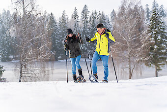 Erste Reiterfahrungen auf Shetlandponys